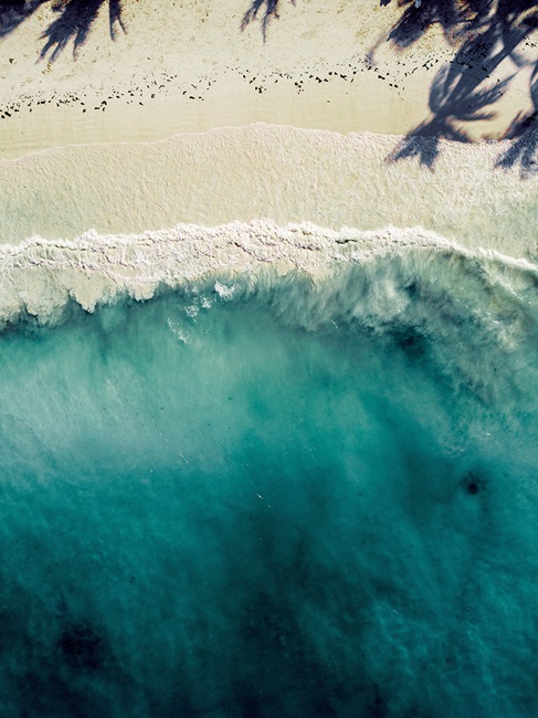 Abstract Guidelines Oceans 2020