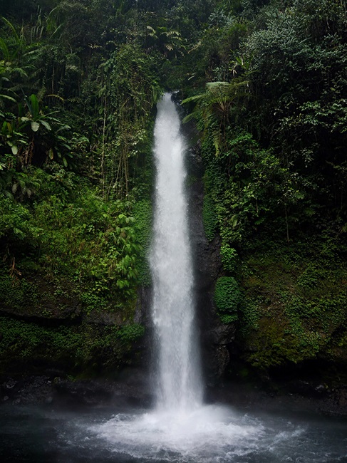 Single waterfall surrounded by lush forest