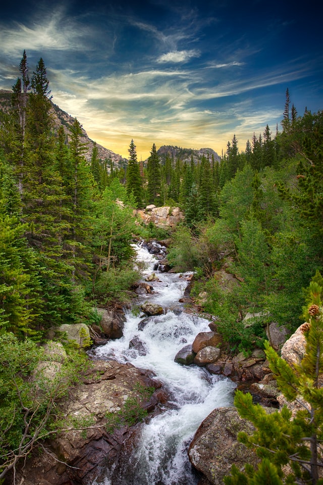 Green pine trees near river under blue sky during daytime