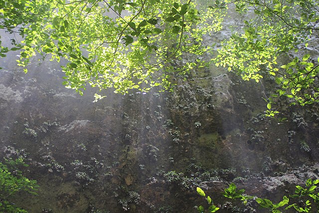 Inside Puerto Rico's Camuy River Cave Park